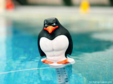 Kyriad Karkonosze | Wojcieszyce | Photos 1