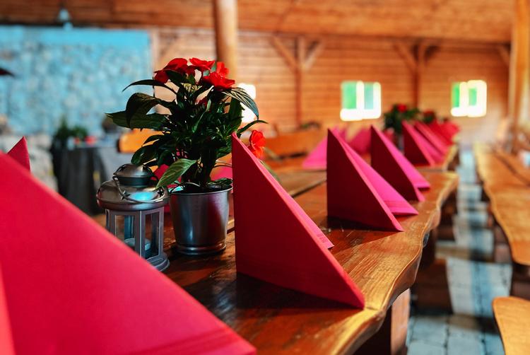 Kyriad Karkonosze | Wojcieszyce | 7