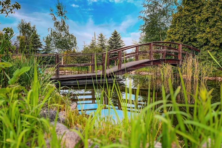 Kyriad Karkonosze | Wojcieszyce | 15